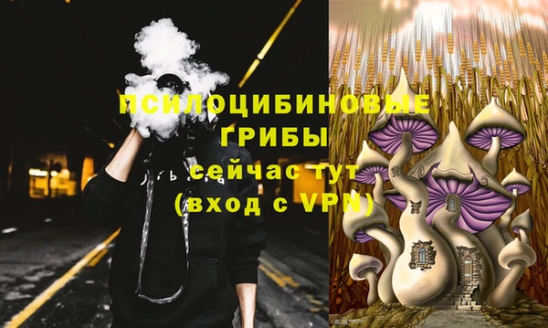 метадон Беломорск