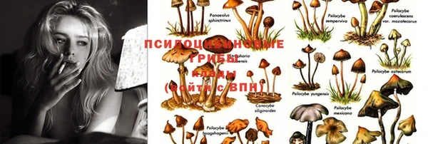 метадон Беломорск